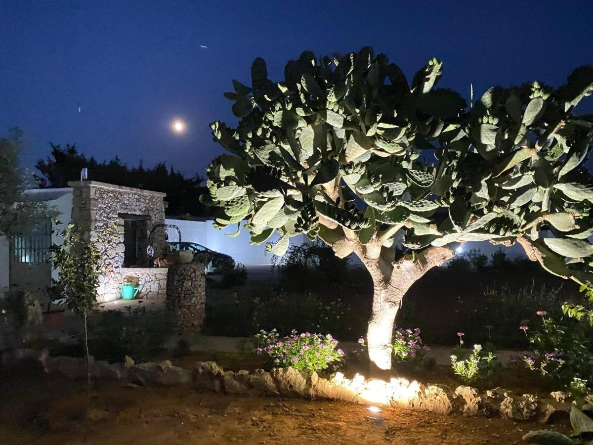 B&B Fellini กัลลีโปลี ภายนอก รูปภาพ